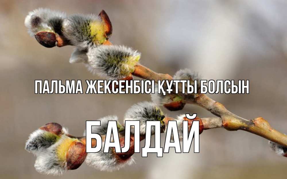 Күн сайын ашық хат с именем, БАЛДАЙ Пальма жексенбісі құтты болсын Верба Онлайн тегін жүктеп алу тілектері бар керемет карта 