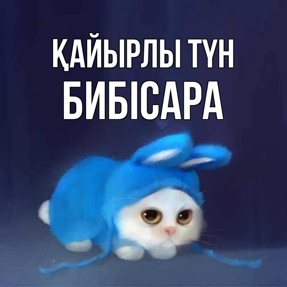 Күн сайын ашық хат с именем, БИБІСАРА Қайырлы түн кот в голубом костюме кролика с ушками Онлайн тегін жүктеп алу тілектері бар керемет карта 