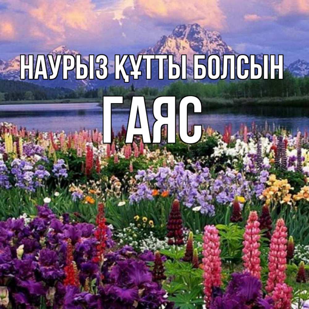 Күн сайын ашық хат с именем, Гаяс Наурыз құтты болсын наурыз Онлайн тегін жүктеп алу тілектері бар керемет карта 