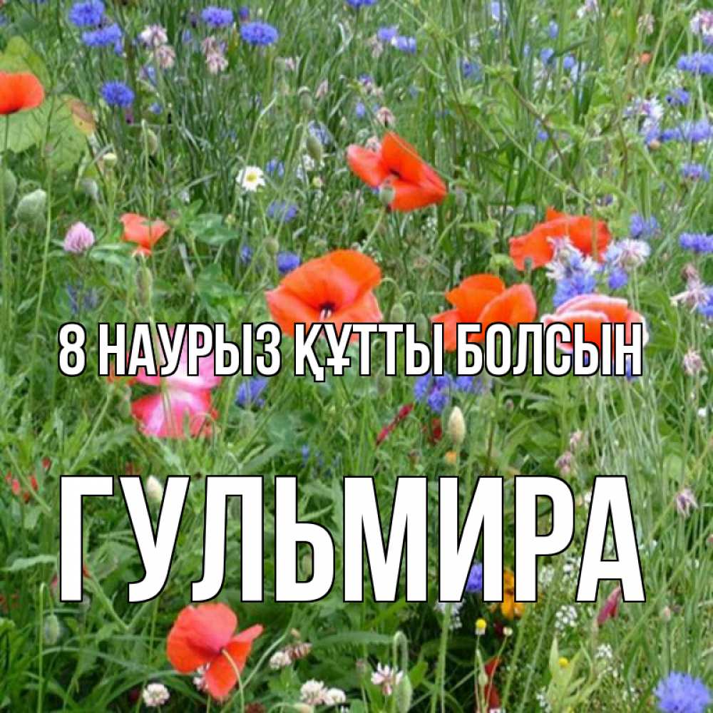 Күн сайын ашық хат с именем, Гульмира 8 наурыз құтты болсын международный женский день 4 Онлайн тегін жүктеп алу тілектері бар керемет карта 
