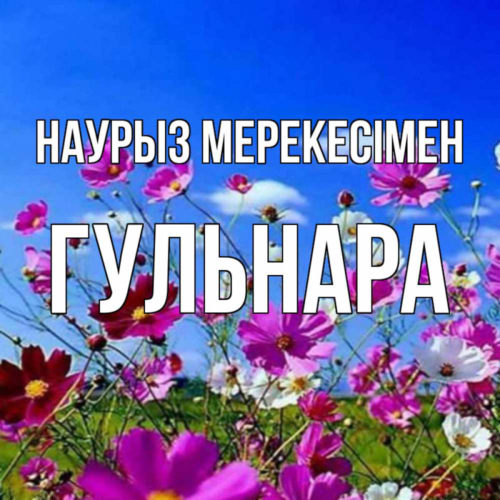 Күн сайын ашық хат с именем, Гульнара Наурыз мерекесімен цветы Онлайн тегін жүктеп алу тілектері бар керемет карта 