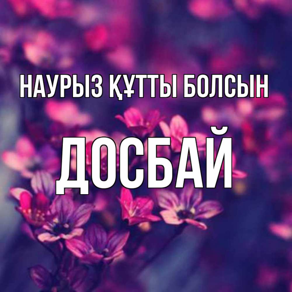 Күн сайын ашық хат с именем, Досбай Наурыз құтты болсын небольшие цветы 1 Онлайн тегін жүктеп алу тілектері бар керемет карта 