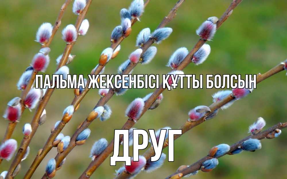 Күн сайын ашық хат с именем, Друг Пальма жексенбісі құтты болсын верба Онлайн тегін жүктеп алу тілектері бар керемет карта 