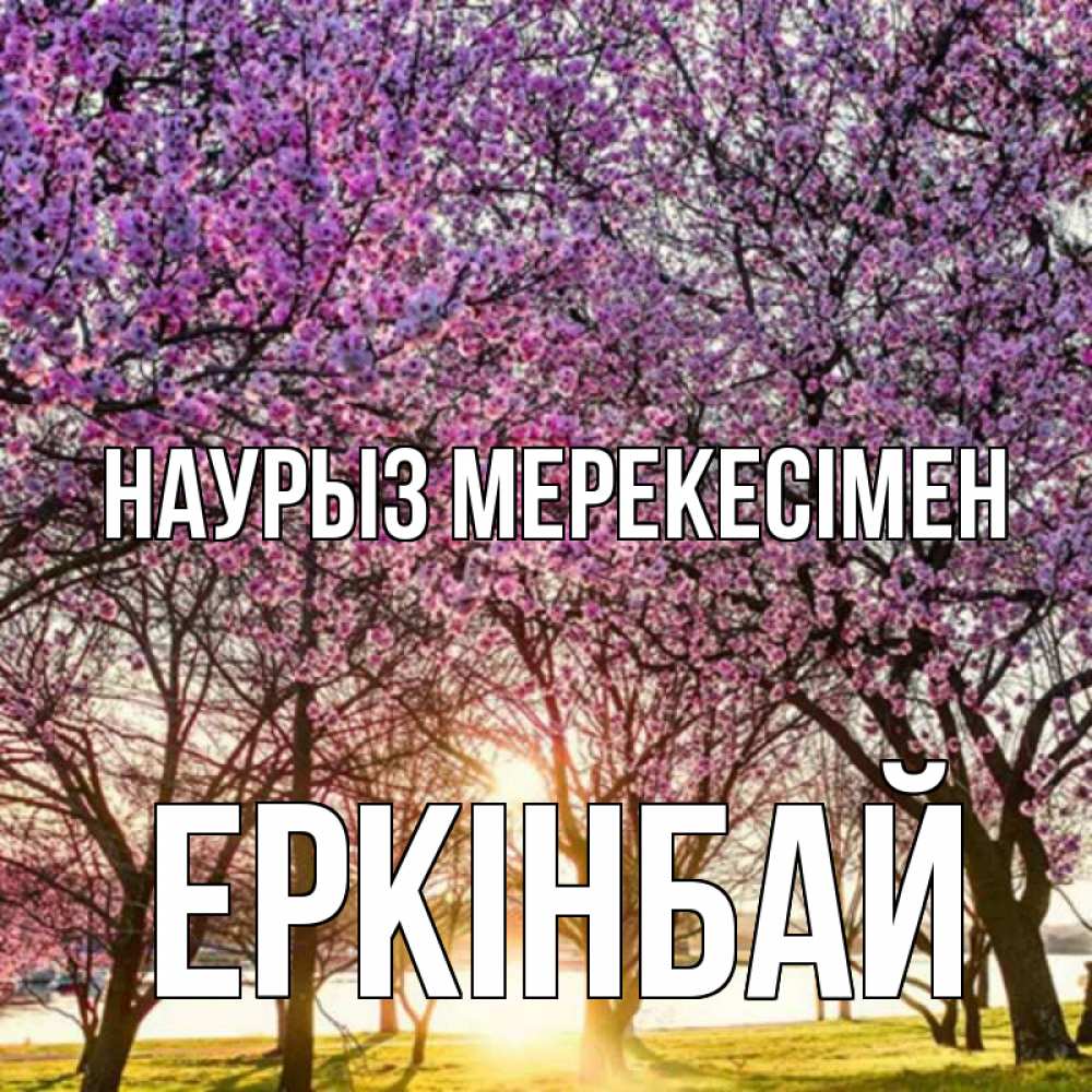 Күн сайын ашық хат с именем, Еркінбай Наурыз мерекесімен праздник весны наурыз Онлайн тегін жүктеп алу тілектері бар керемет карта 