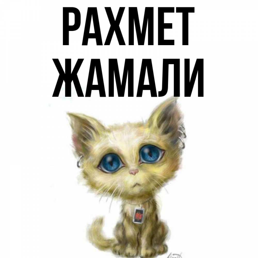 Күн сайын ашық хат с именем, ЖАМАЛИ рахмет рисованный кот благодарит вас Онлайн тегін жүктеп алу тілектері бар керемет карта 