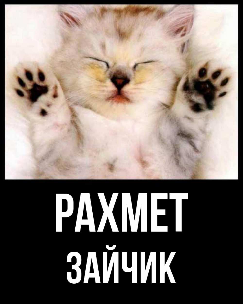 Күн сайын ашық хат с именем, Зайчик рахмет маленький котенок Онлайн тегін жүктеп алу тілектері бар керемет карта 