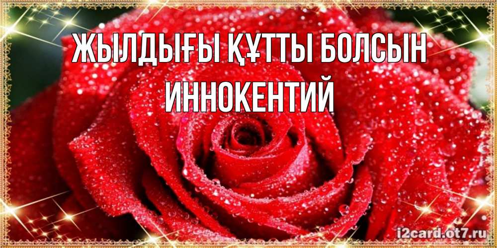 Күн сайын ашық хат с именем, Иннокентий Жылдығы құтты болсын роса и роза. открытка с красивой розой Онлайн тегін жүктеп алу тілектері бар керемет карта 