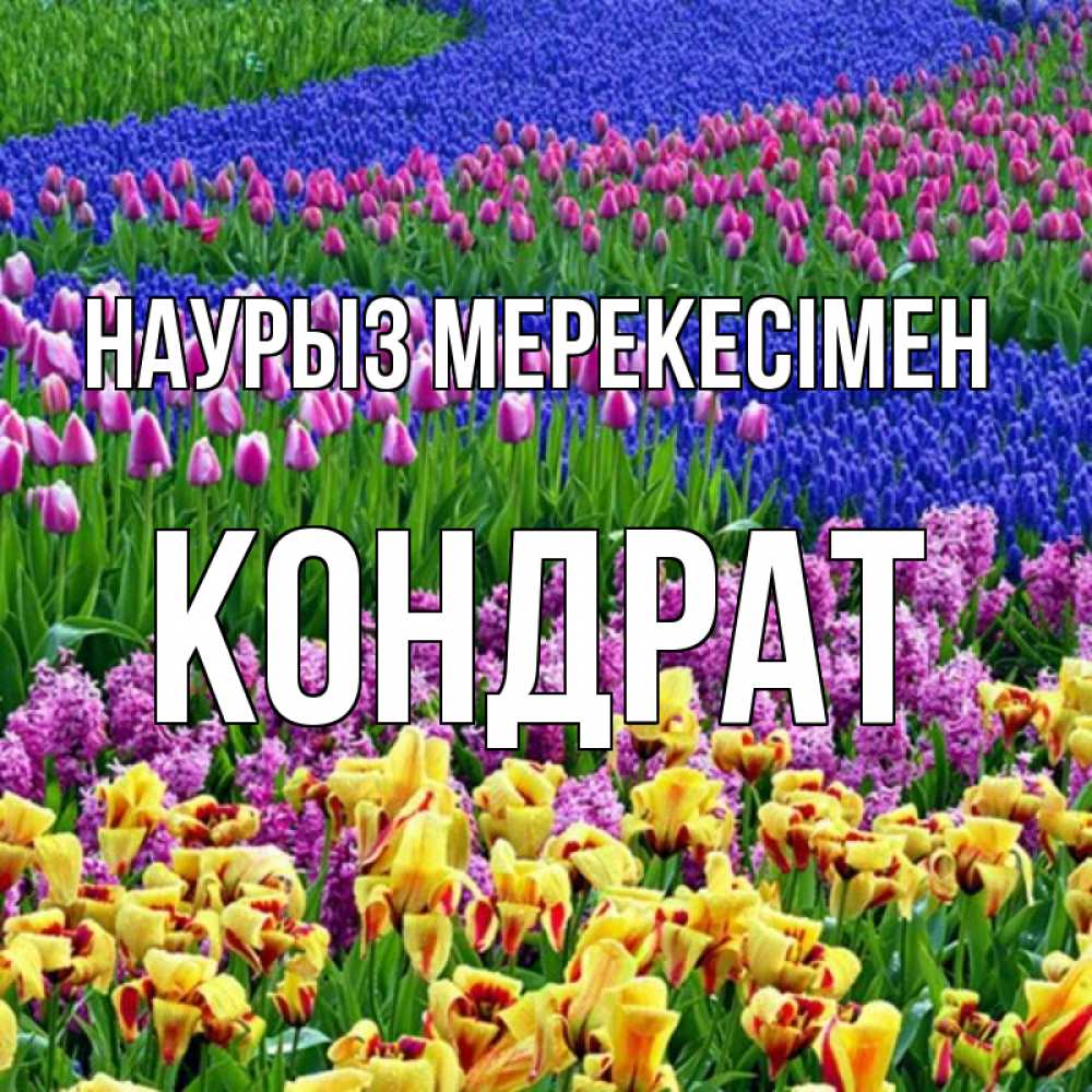 Күн сайын ашық хат с именем, Кондрат Наурыз мерекесімен цветы Онлайн тегін жүктеп алу тілектері бар керемет карта 