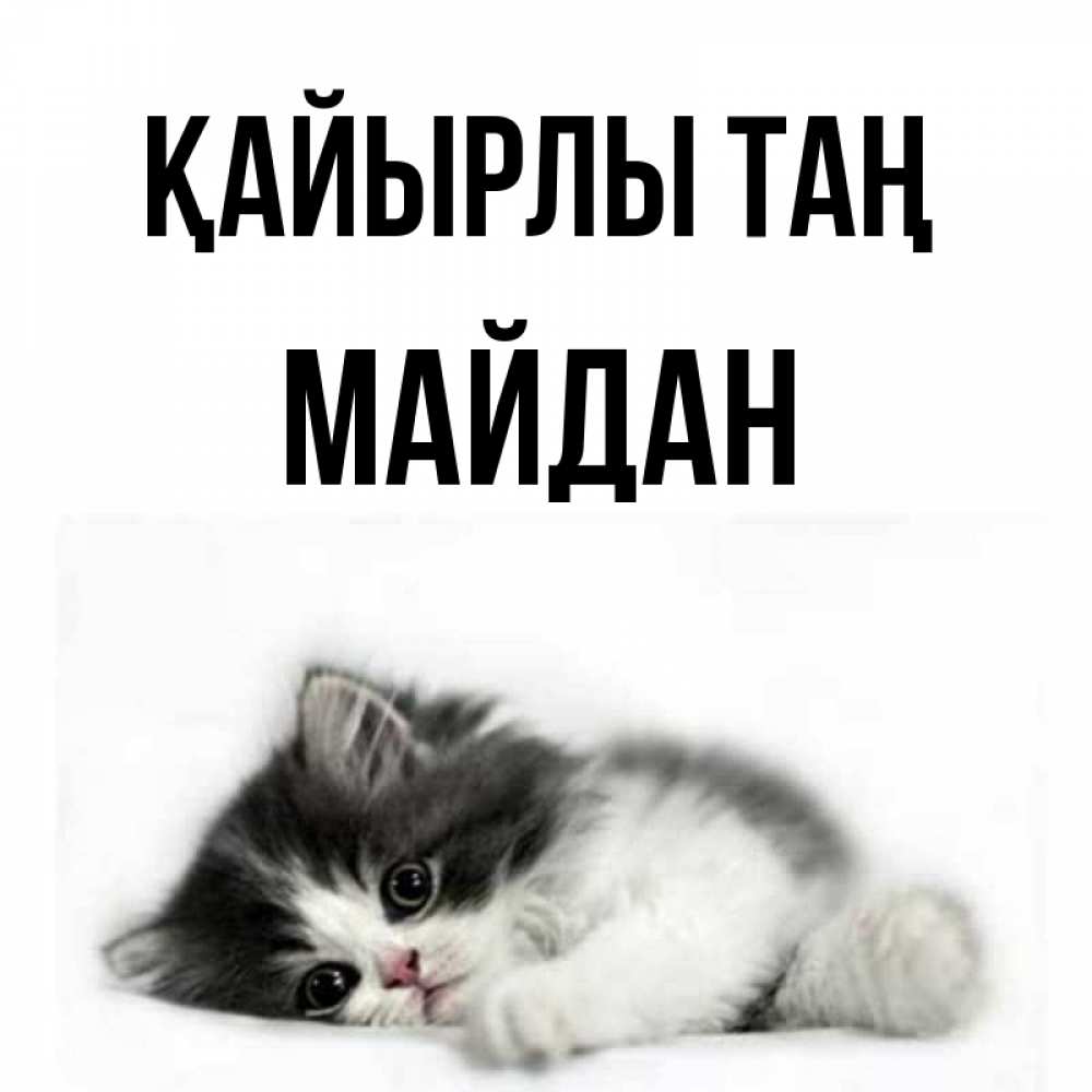 Күн сайын ашық хат с именем, МАЙДАН Қайырлы таң кот лапки Онлайн тегін жүктеп алу тілектері бар керемет карта 
