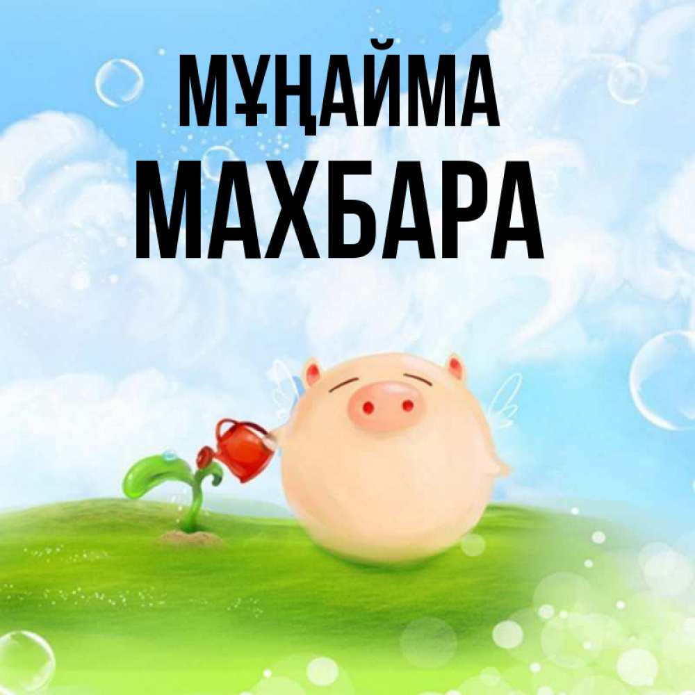 Күн сайын ашық хат с именем, МАХБАРА Мұңайма поливает цветок порося Онлайн тегін жүктеп алу тілектері бар керемет карта 