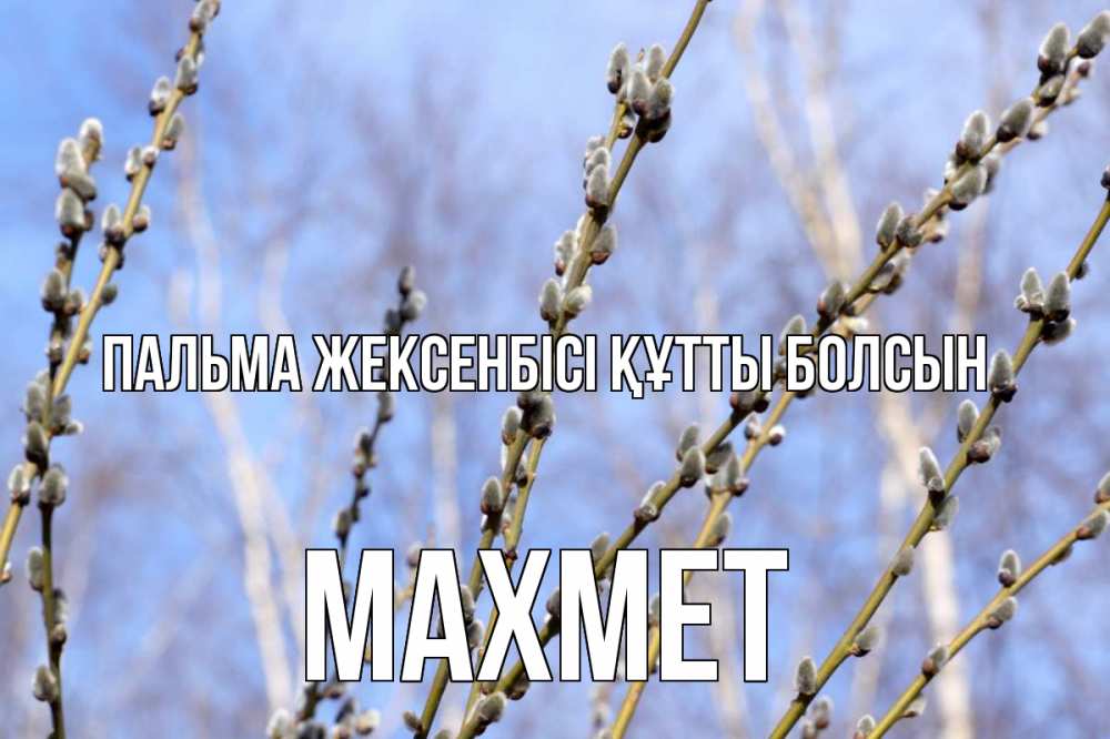 Күн сайын ашық хат с именем, МАХМЕТ Пальма жексенбісі құтты болсын верба Онлайн тегін жүктеп алу тілектері бар керемет карта 