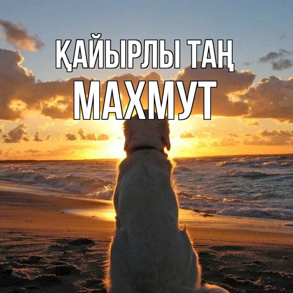 Күн сайын ашық хат с именем, МАХМУТ Қайырлы таң восход солнца Онлайн тегін жүктеп алу тілектері бар керемет карта 