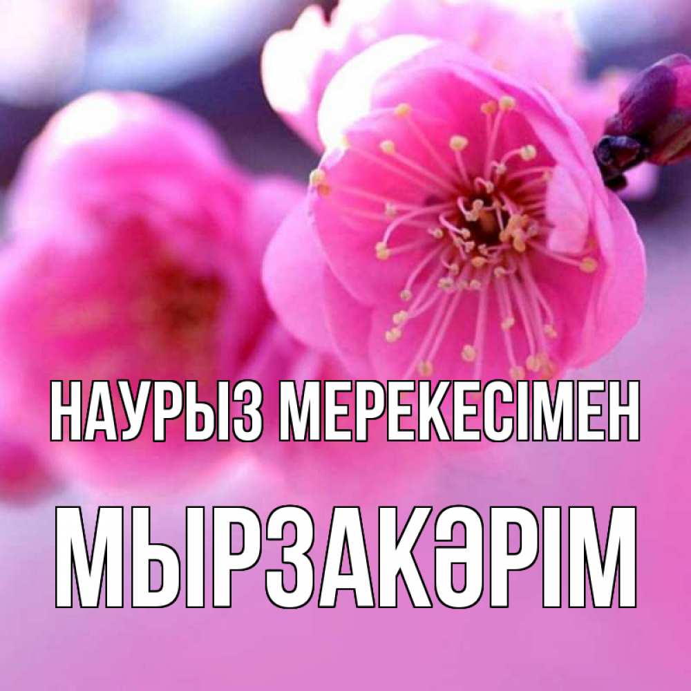 Күн сайын ашық хат с именем, Мырзакәрім Наурыз мерекесімен международный женский день Онлайн тегін жүктеп алу тілектері бар керемет карта 