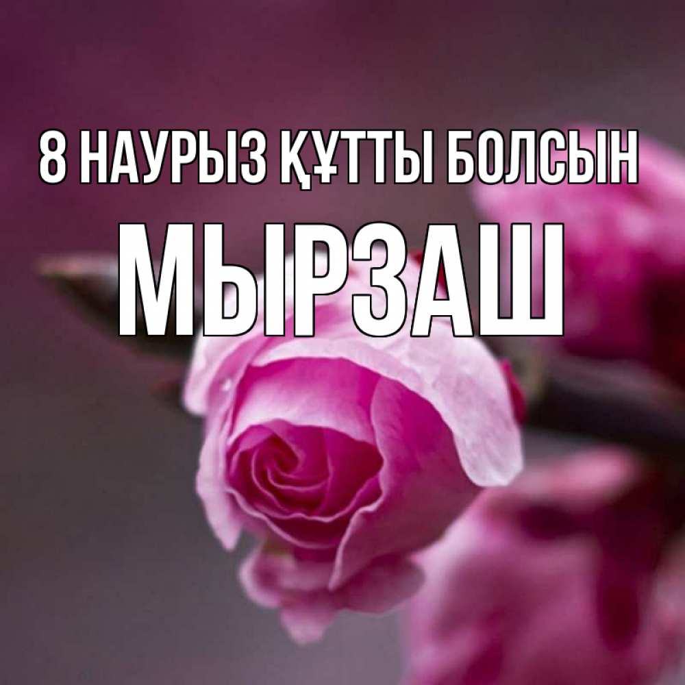 Күн сайын ашық хат с именем, Мырзаш 8 наурыз құтты болсын весна Онлайн тегін жүктеп алу тілектері бар керемет карта 
