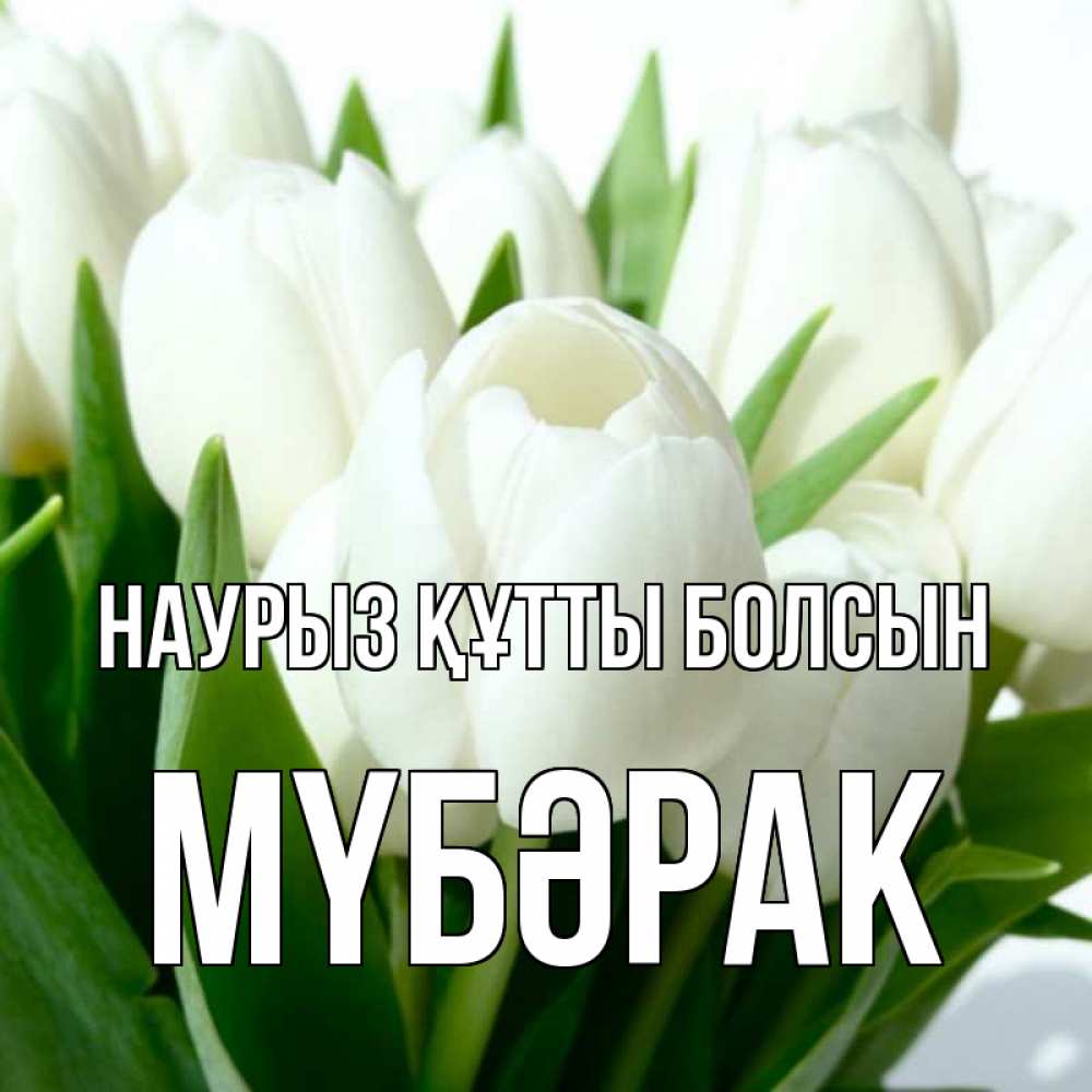 Күн сайын ашық хат с именем, МҮБӘРАК Наурыз құтты болсын цветы Онлайн тегін жүктеп алу тілектері бар керемет карта 
