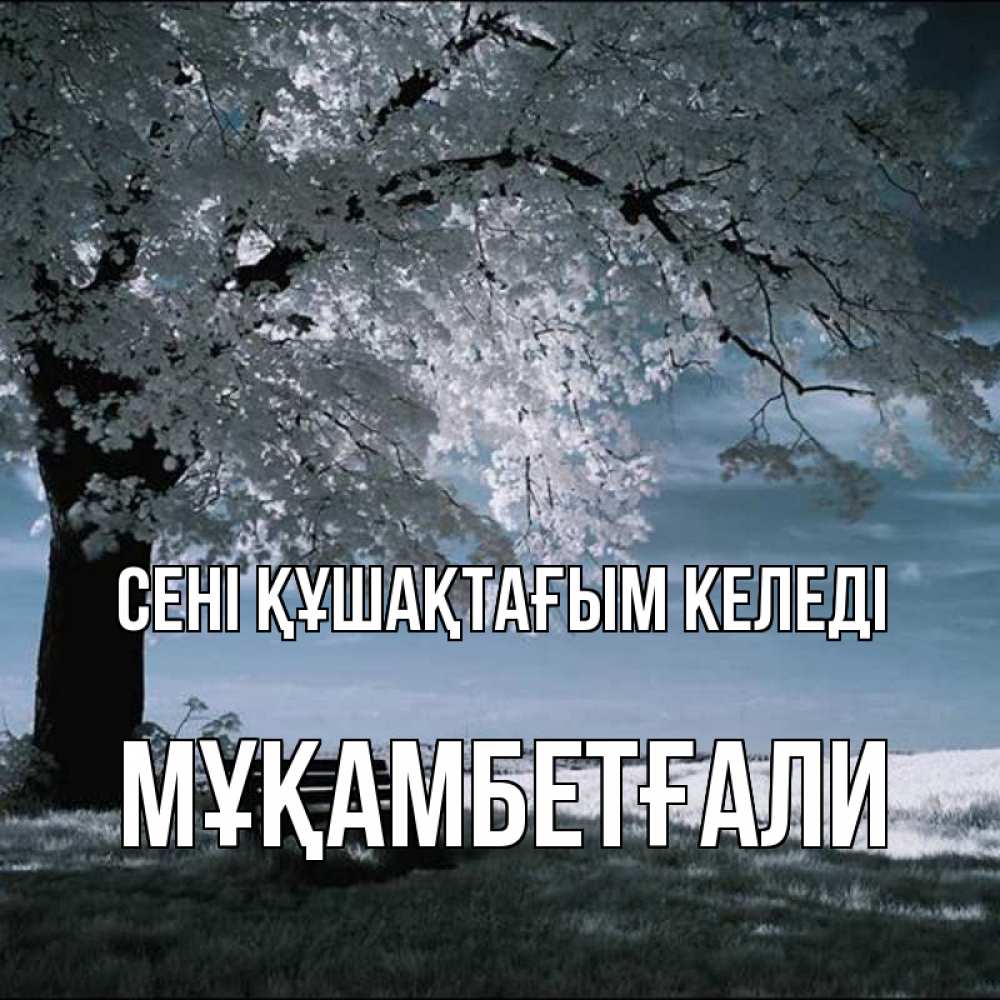 Күн сайын ашық хат с именем, Мұқамбетғали сені құшақтағым келеді дерево Онлайн тегін жүктеп алу тілектері бар керемет карта 