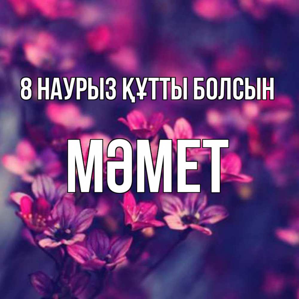 Күн сайын ашық хат с именем, Мәмет 8 наурыз құтты болсын небольшие цветы 1 Онлайн тегін жүктеп алу тілектері бар керемет карта 