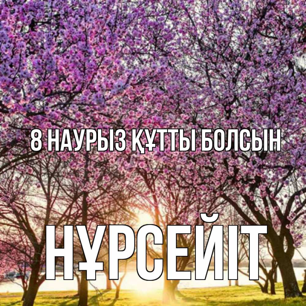 Күн сайын ашық хат с именем, НҰРСЕЙІТ 8 наурыз құтты болсын международный женский день Онлайн тегін жүктеп алу тілектері бар керемет карта 