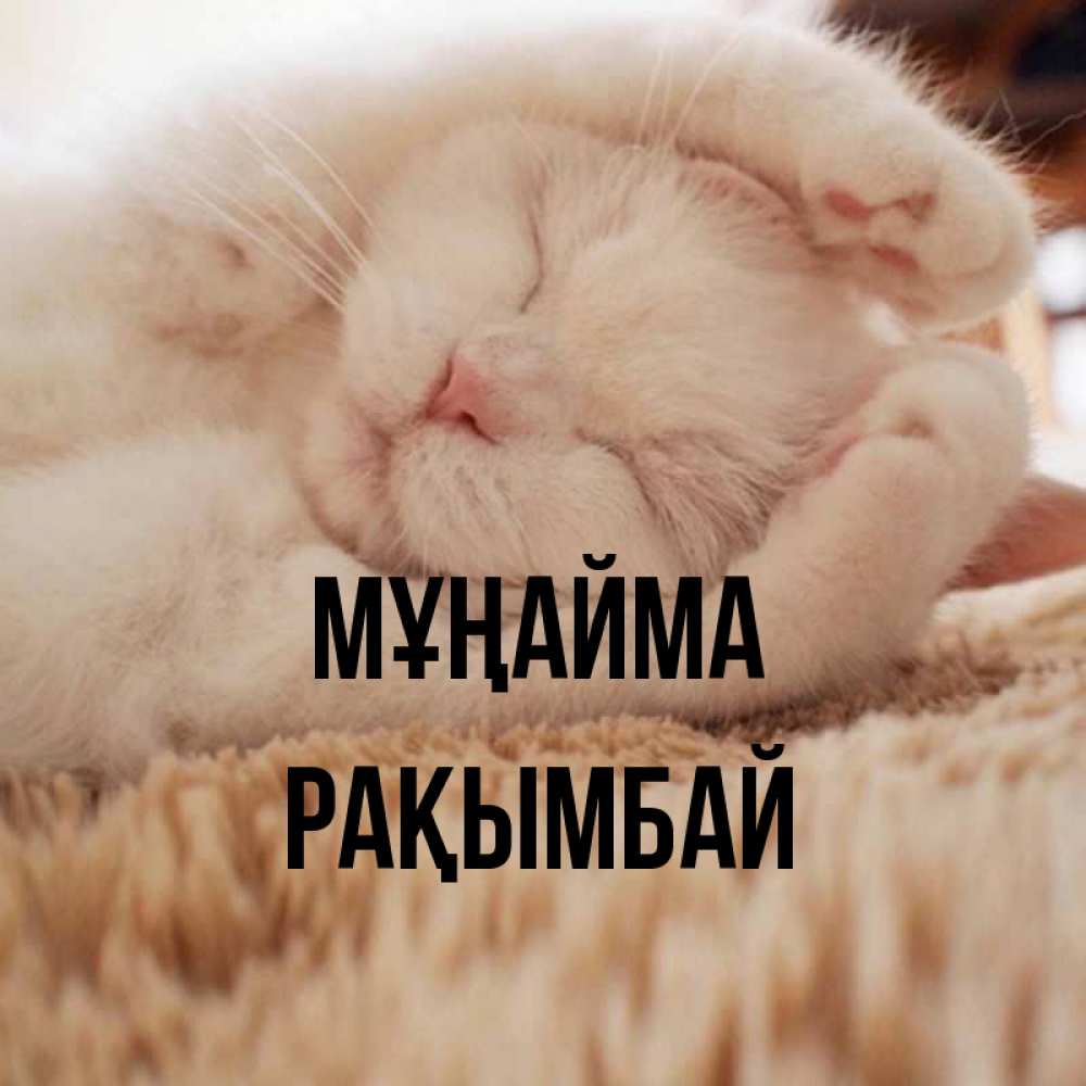 Күн сайын ашық хат с именем, Рақымбай Мұңайма Котенок спит Онлайн тегін жүктеп алу тілектері бар керемет карта 