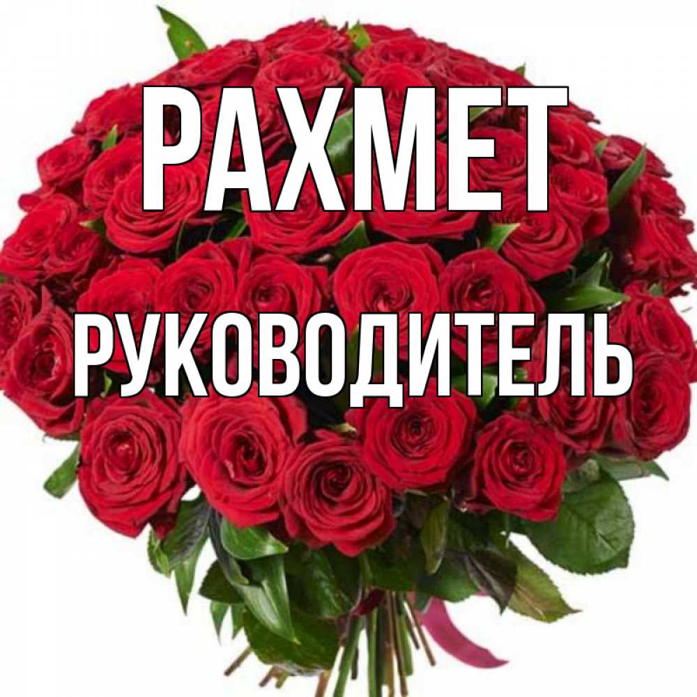 Күн сайын ашық хат с именем, Руководитель рахмет букет красных роз Онлайн тегін жүктеп алу тілектері бар керемет карта 