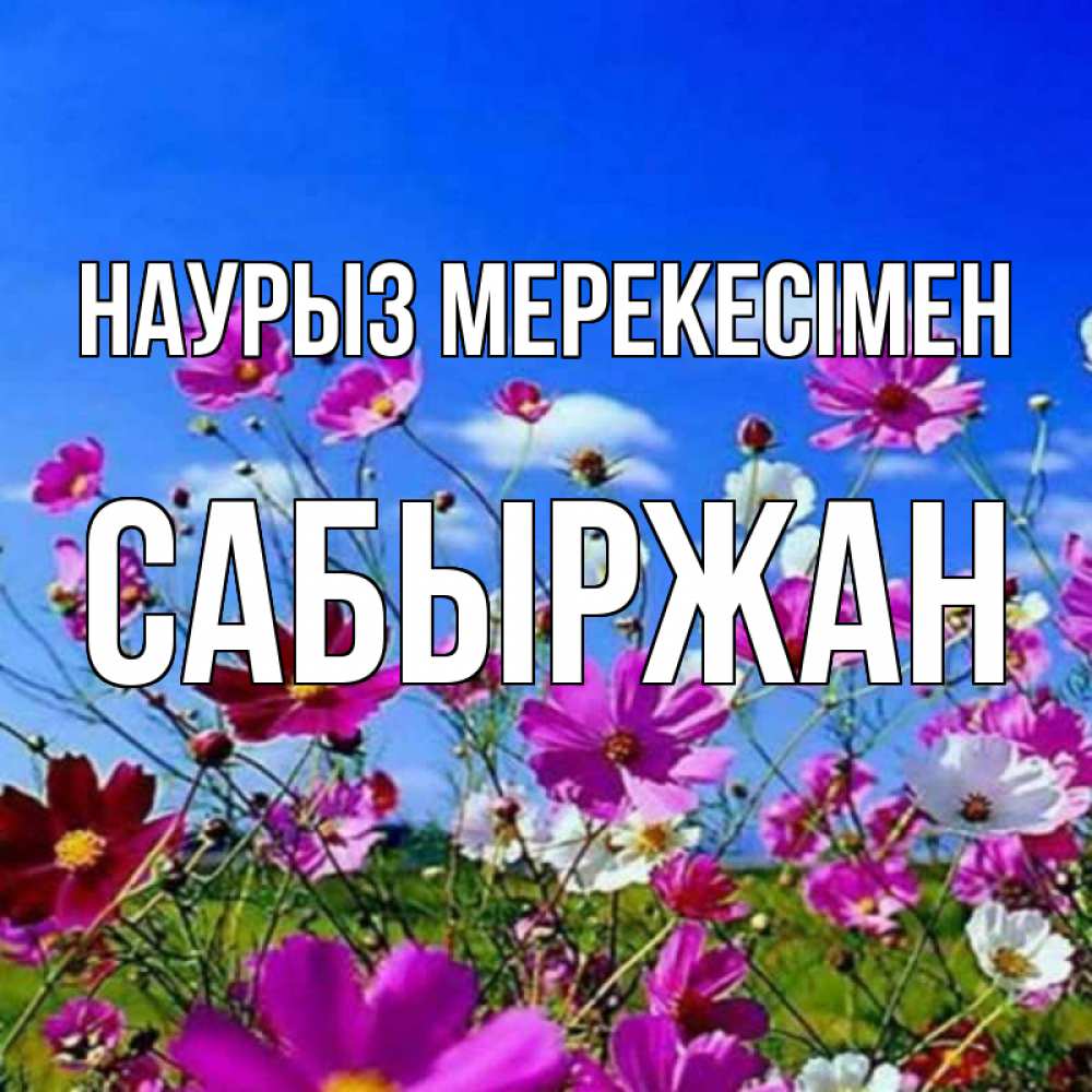 Күн сайын ашық хат с именем, САБЫРЖАН Наурыз мерекесімен цветы Онлайн тегін жүктеп алу тілектері бар керемет карта 
