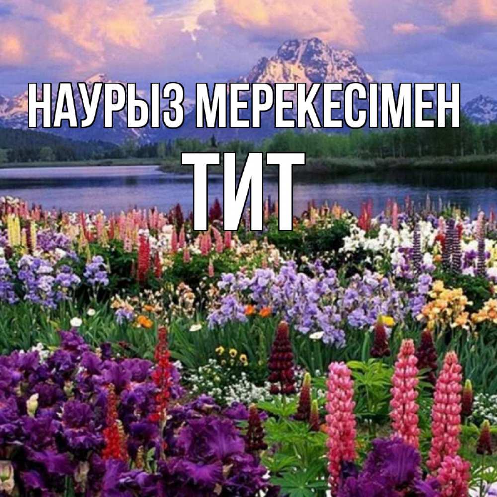 Күн сайын ашық хат с именем, Тит Наурыз мерекесімен праздник весны наурыз Онлайн тегін жүктеп алу тілектері бар керемет карта 