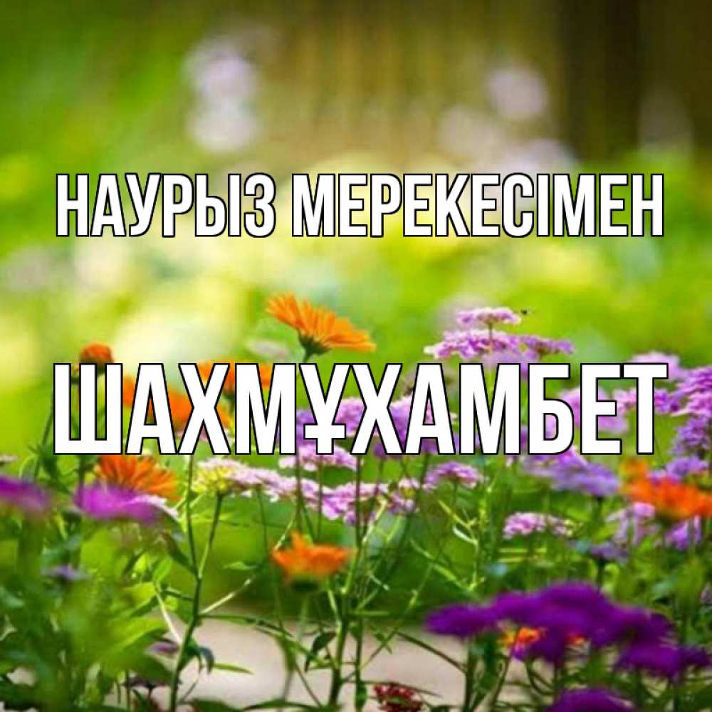 Күн сайын ашық хат с именем, ШАХМҰХАМБЕТ Наурыз мерекесімен цветы Онлайн тегін жүктеп алу тілектері бар керемет карта 