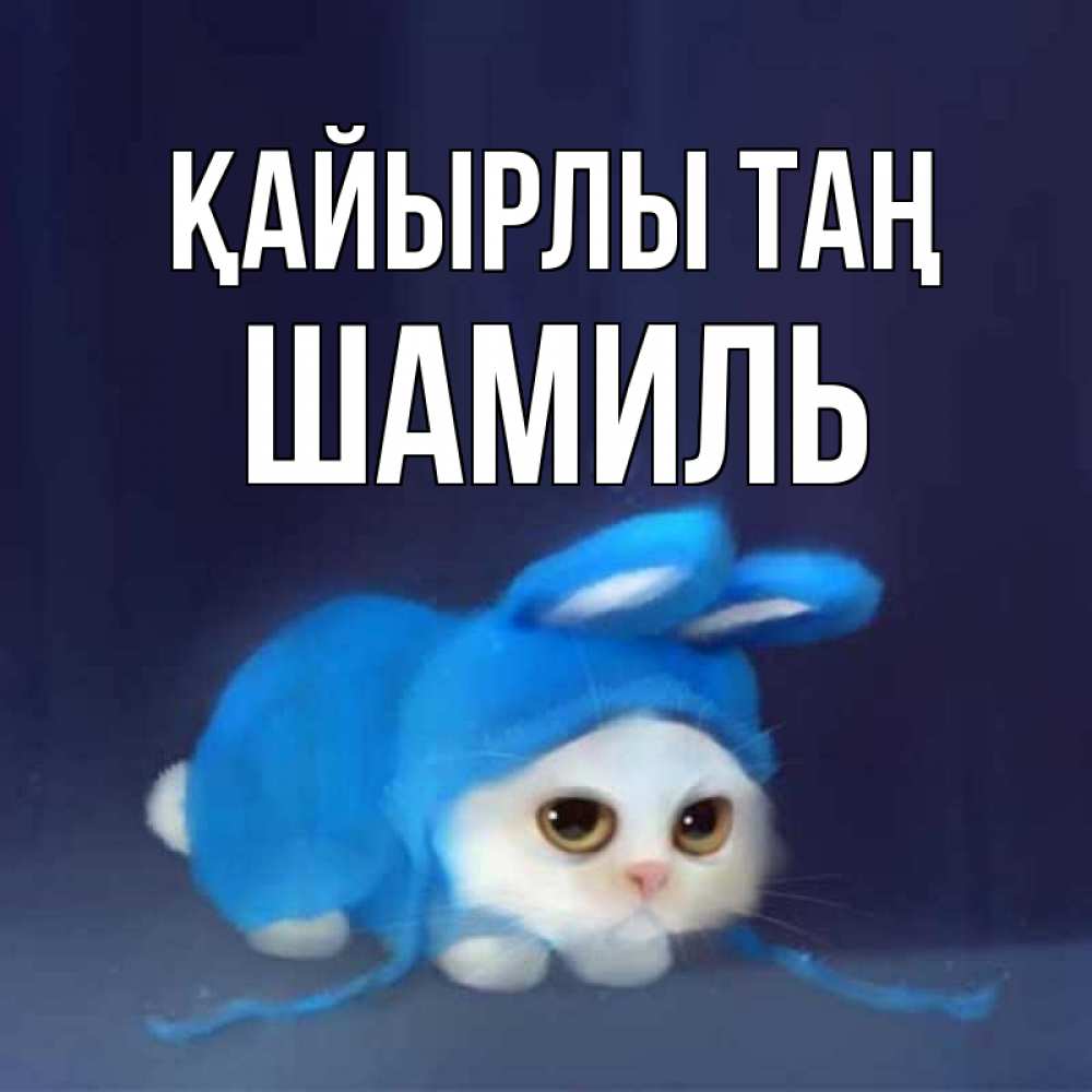 Күн сайын ашық хат с именем, Шамиль Қайырлы таң открытки красивые скачать бесплатно Онлайн тегін жүктеп алу тілектері бар керемет карта 