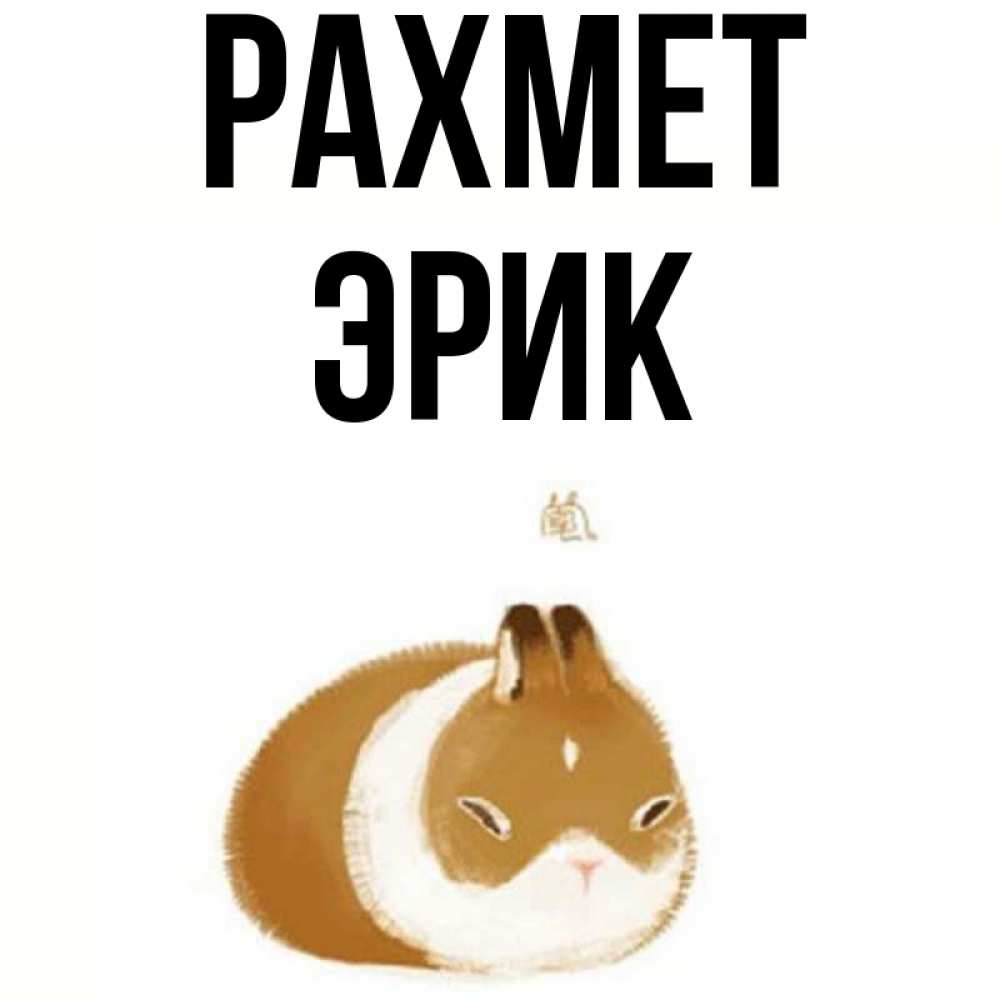 Күн сайын ашық хат с именем, Эрик рахмет коричнево белый домашний питомец Онлайн тегін жүктеп алу тілектері бар керемет карта 