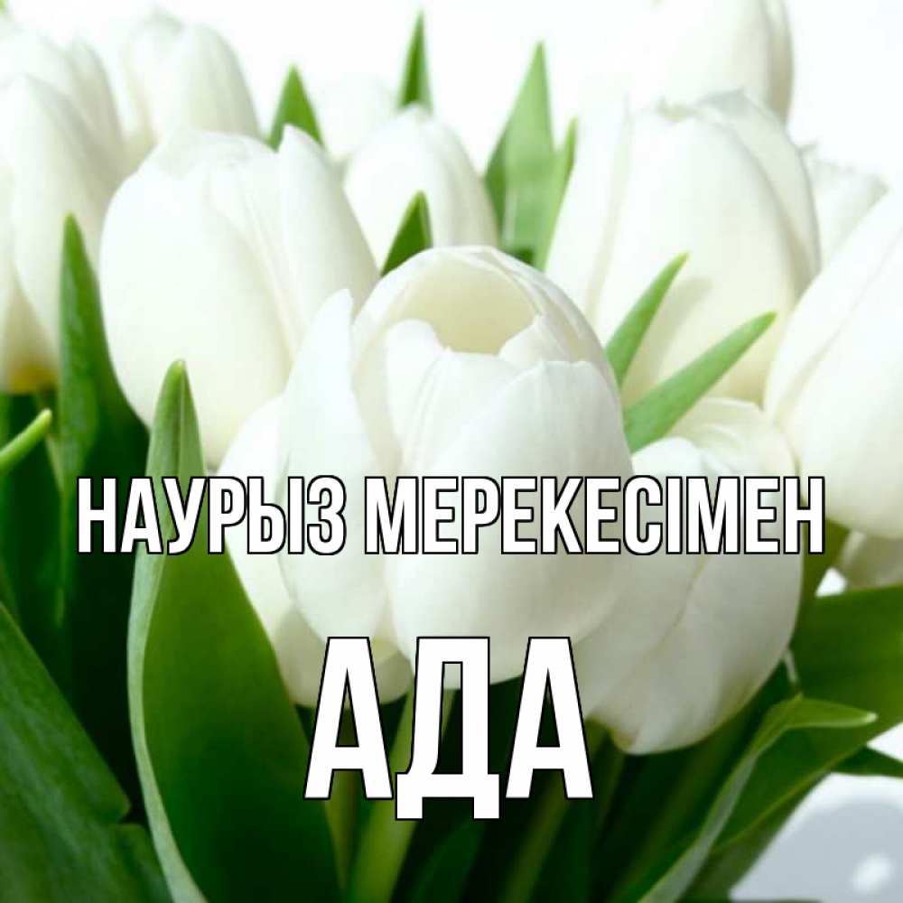 Күн сайын ашық хат с именем, Ада Наурыз мерекесімен цветы Онлайн тегін жүктеп алу тілектері бар керемет карта 
