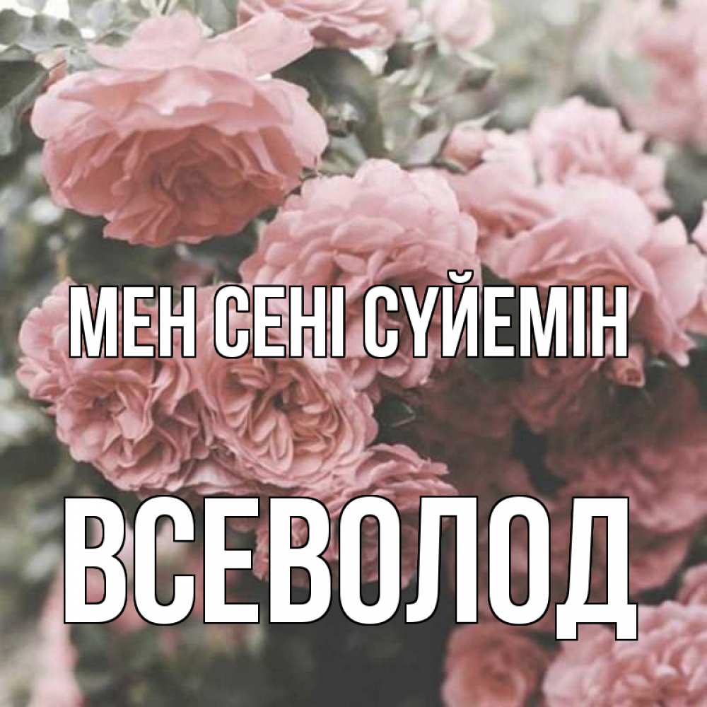Күн сайын ашық хат с именем, Всеволод Мен сені сүйемін розы 3 Онлайн тегін жүктеп алу тілектері бар керемет карта 