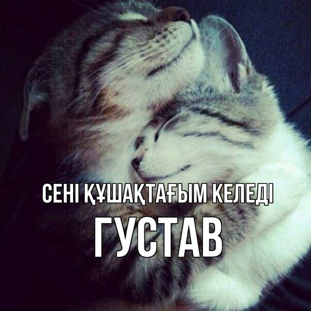 Күн сайын ашық хат с именем, Густав сені құшақтағым келеді полосатики Онлайн тегін жүктеп алу тілектері бар керемет карта 