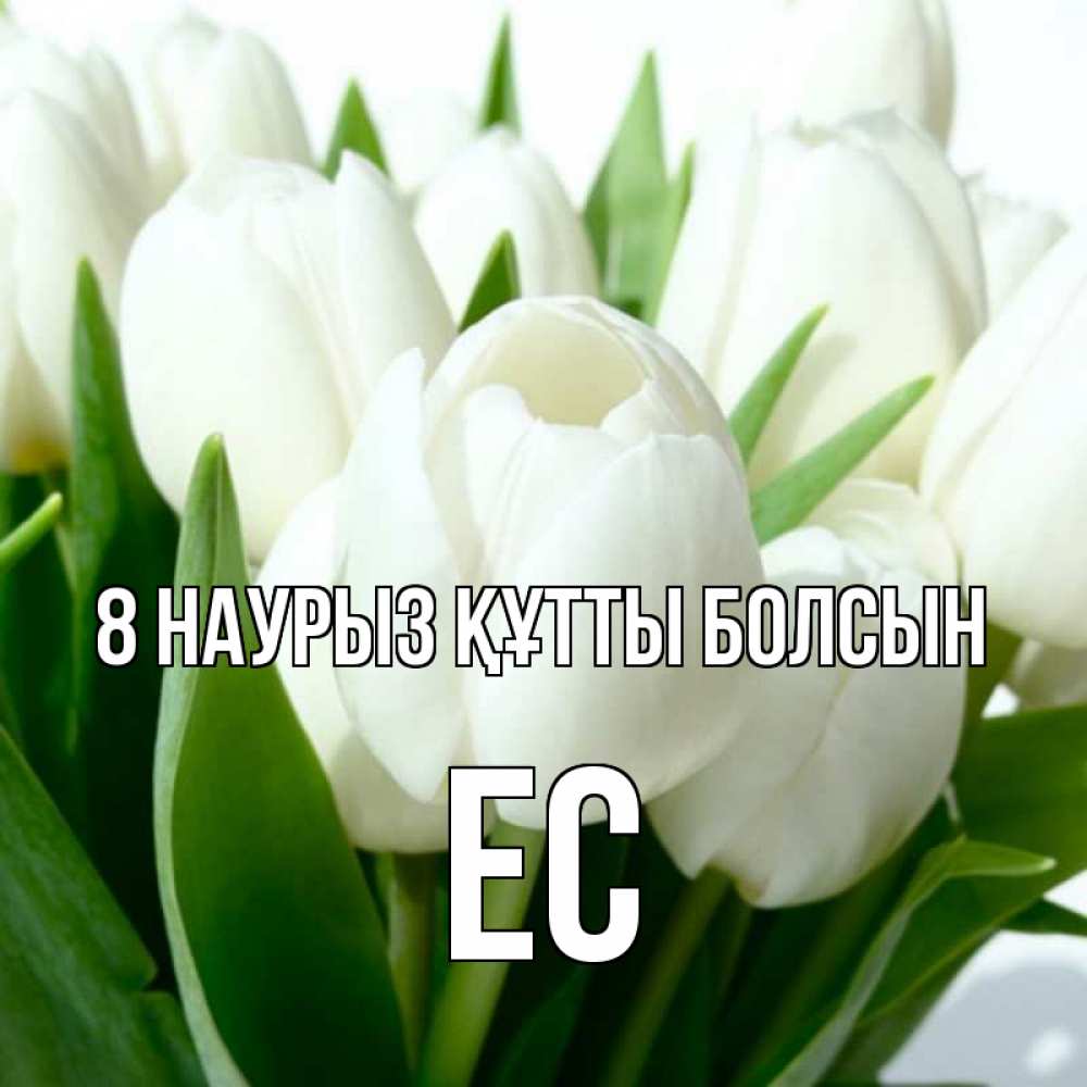 Күн сайын ашық хат с именем, Ес 8 наурыз құтты болсын цветы Онлайн тегін жүктеп алу тілектері бар керемет карта 