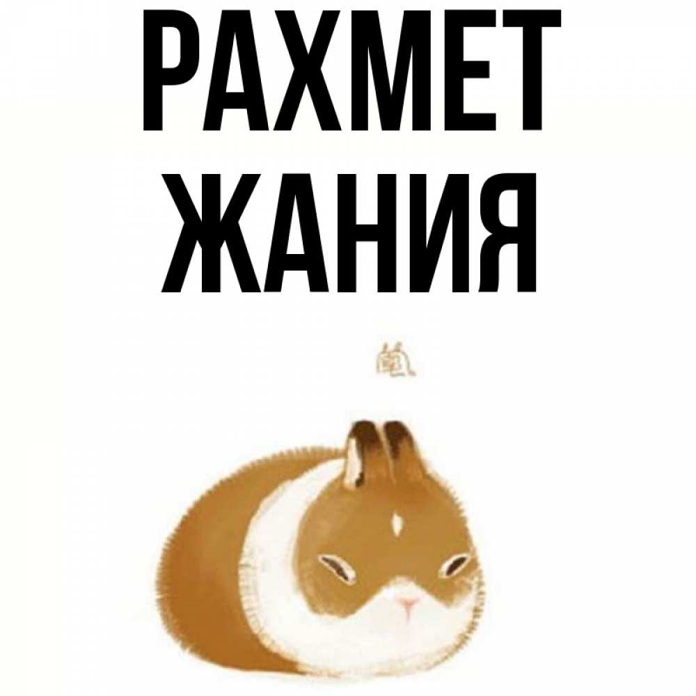 Күн сайын ашық хат с именем, ЖАНИЯ рахмет коричнево белый домашний питомец Онлайн тегін жүктеп алу тілектері бар керемет карта 