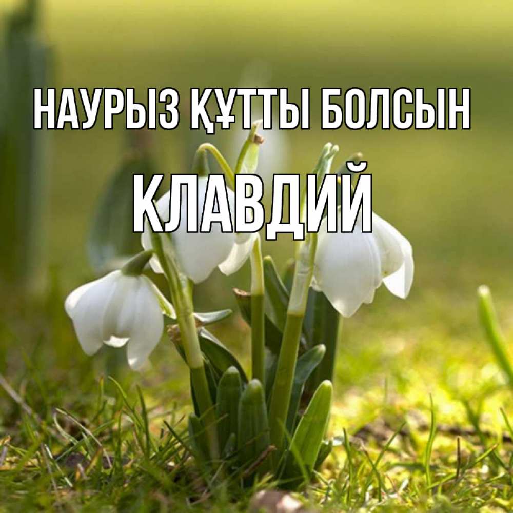 Күн сайын ашық хат с именем, Клавдий Наурыз құтты болсын ранние цветы 2 Онлайн тегін жүктеп алу тілектері бар керемет карта 