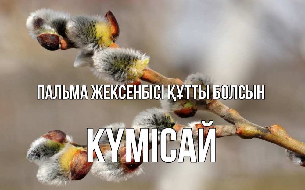 Күн сайын ашық хат с именем, КҮМІСАЙ Пальма жексенбісі құтты болсын Верба Онлайн тегін жүктеп алу тілектері бар керемет карта 