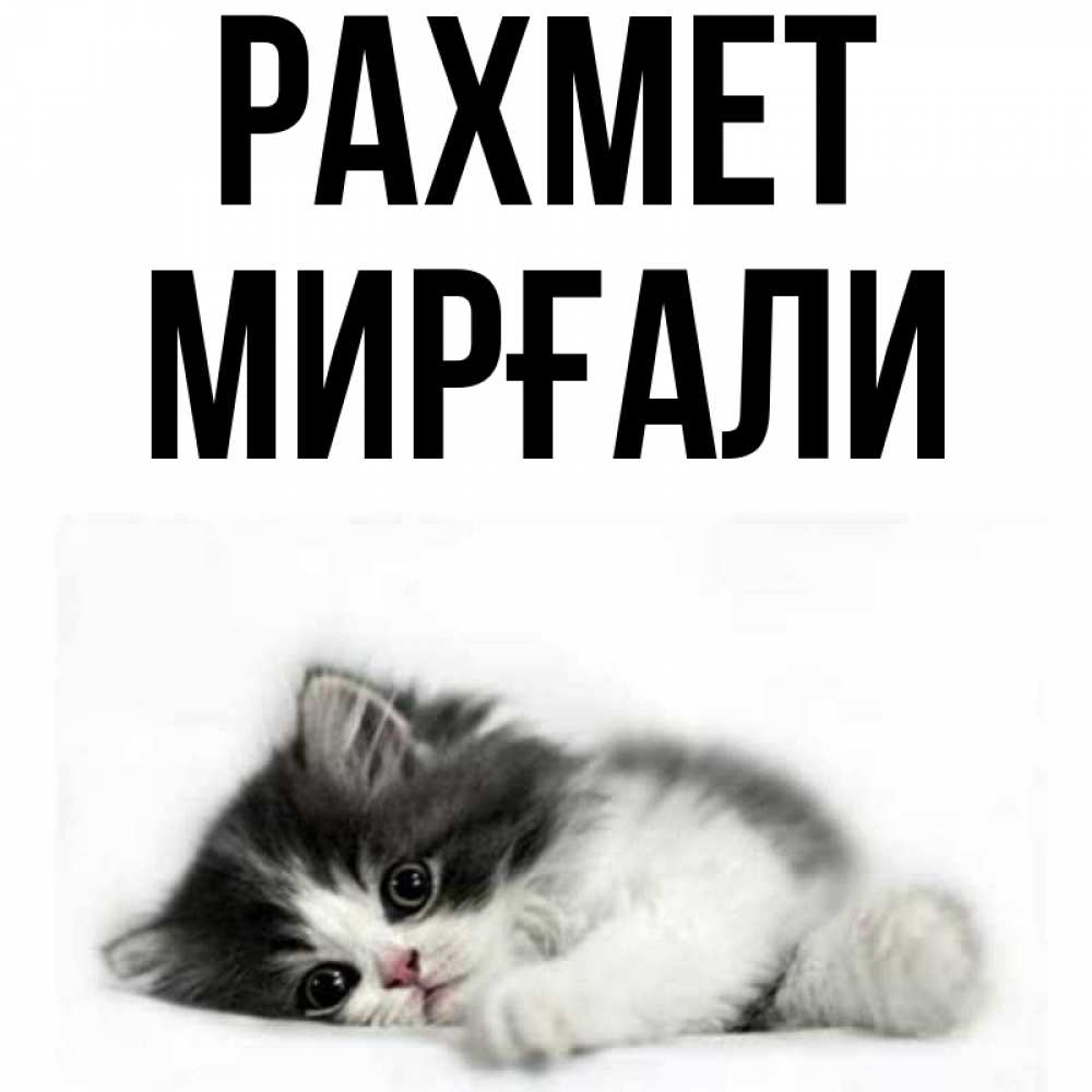 Күн сайын ашық хат с именем, МИРҒАЛИ рахмет черный и белый кот Онлайн тегін жүктеп алу тілектері бар керемет карта 