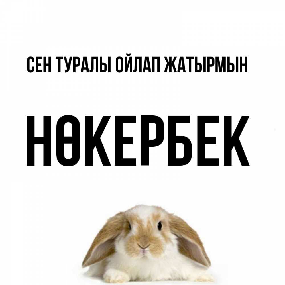 Күн сайын ашық хат с именем, НӨКЕРБЕК Сен туралы ойлап жатырмын подписать своими руками онлайн Онлайн тегін жүктеп алу тілектері бар керемет карта 