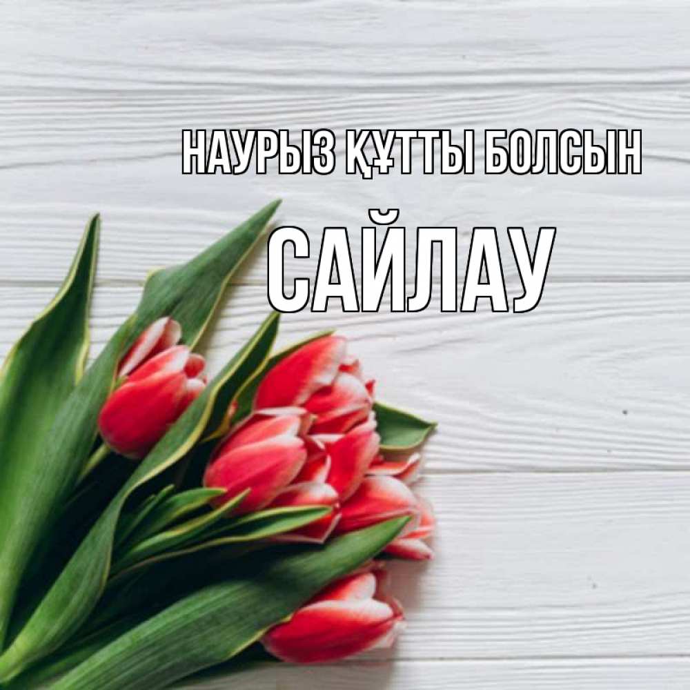 Күн сайын ашық хат с именем, САЙЛАУ Наурыз құтты болсын весна 2 Онлайн тегін жүктеп алу тілектері бар керемет карта 