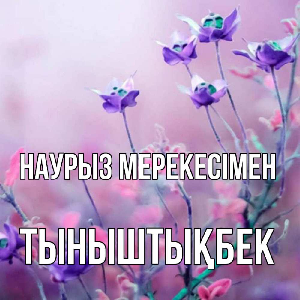 Күн сайын ашық хат с именем, ТЫНЫШТЫҚБЕК Наурыз мерекесімен международный женский день 2 Онлайн тегін жүктеп алу тілектері бар керемет карта 
