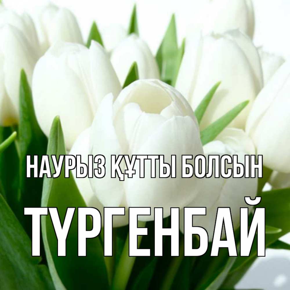 Күн сайын ашық хат с именем, ТҮРГЕНБАЙ Наурыз құтты болсын цветы Онлайн тегін жүктеп алу тілектері бар керемет карта 