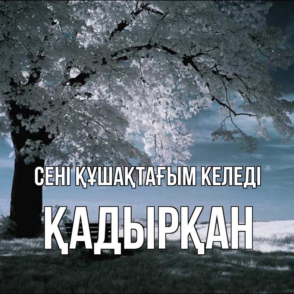 Күн сайын ашық хат с именем, Қадырқан сені құшақтағым келеді дерево Онлайн тегін жүктеп алу тілектері бар керемет карта 