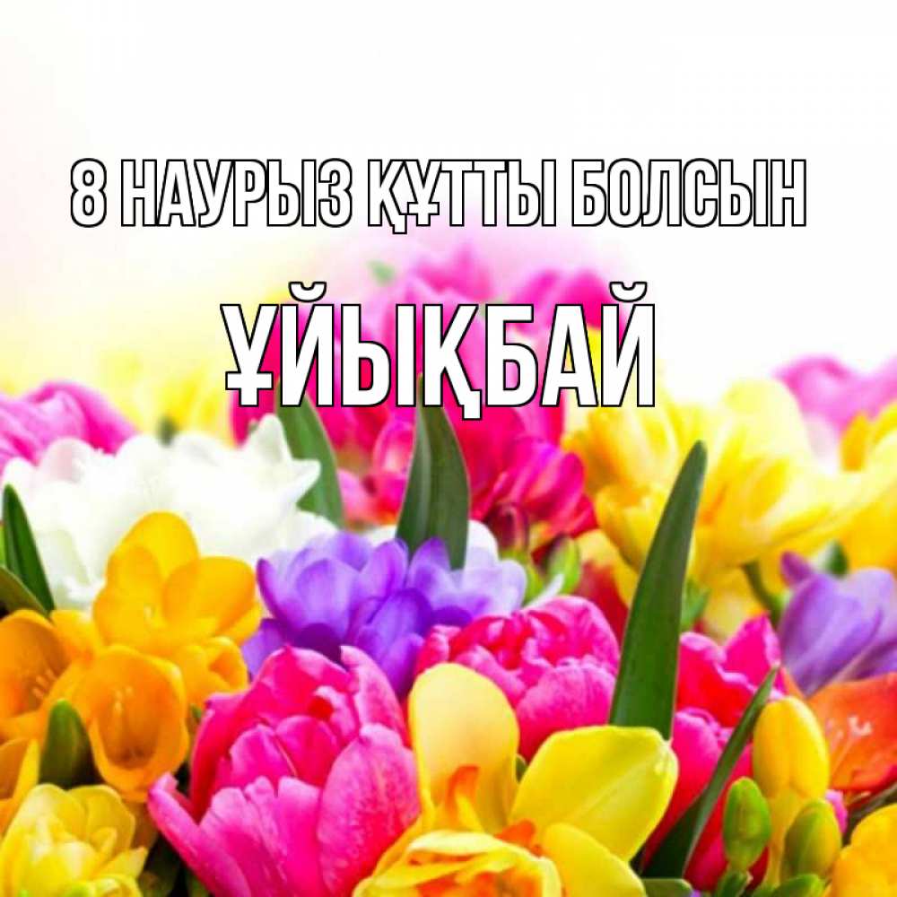 Күн сайын ашық хат с именем, ҰЙЫҚБАЙ 8 наурыз құтты болсын тюльпаны Онлайн тегін жүктеп алу тілектері бар керемет карта 