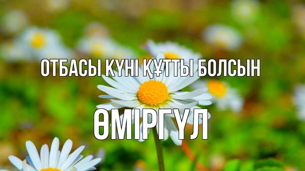 Күн сайын ашық хат с именем, ӨМІРГҮЛ отбасы күні құтты болсын с днем семьи Онлайн тегін жүктеп алу тілектері бар керемет карта 