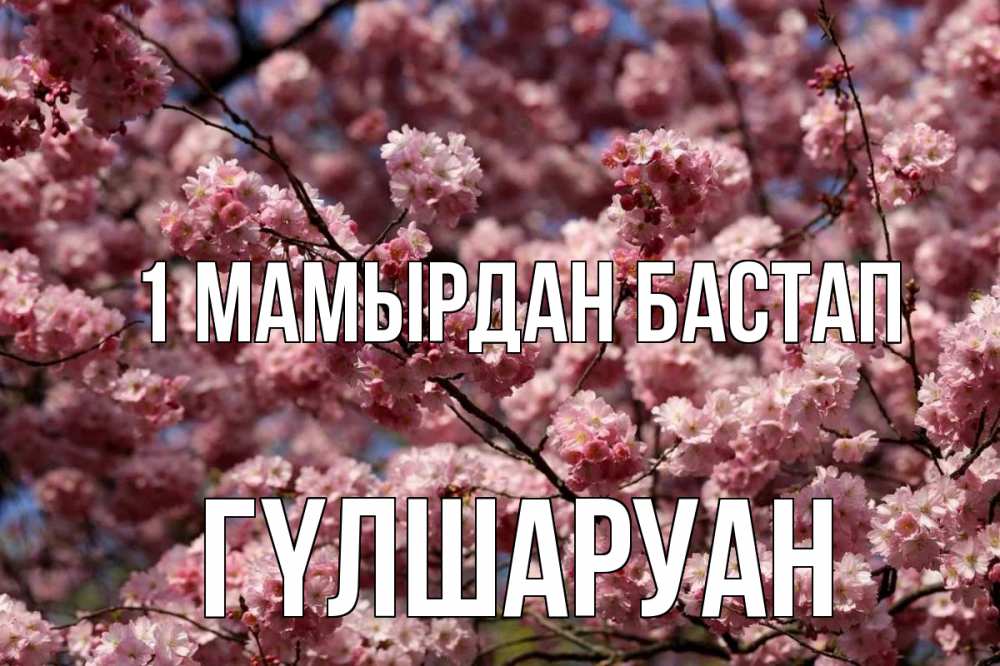Күн сайын ашық хат с именем, ГҮЛШАРУАН 1 мамырдан бастап С 1 мая Онлайн тегін жүктеп алу тілектері бар керемет карта 