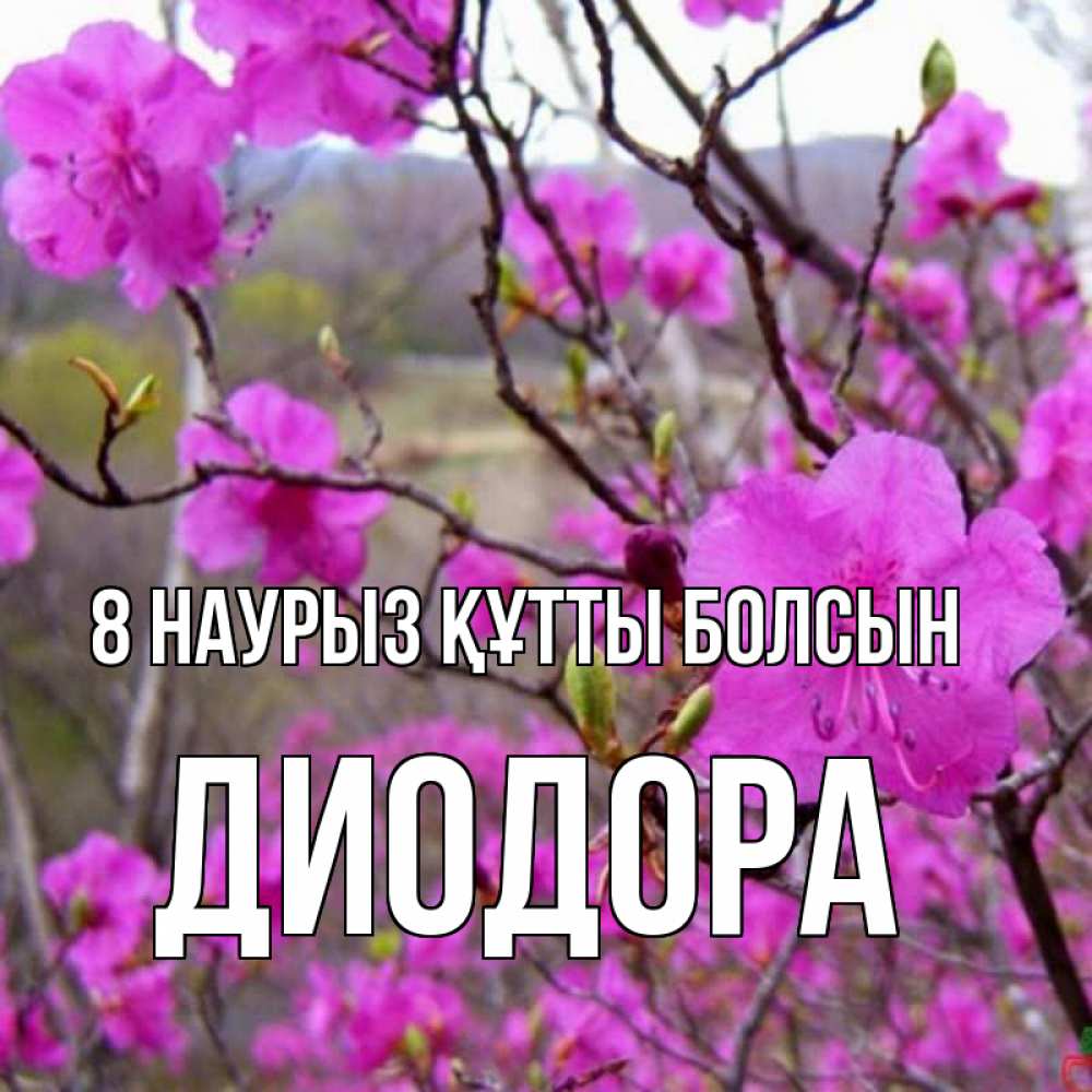 Күн сайын ашық хат с именем, Диодора 8 наурыз құтты болсын международный женский день Онлайн тегін жүктеп алу тілектері бар керемет карта 