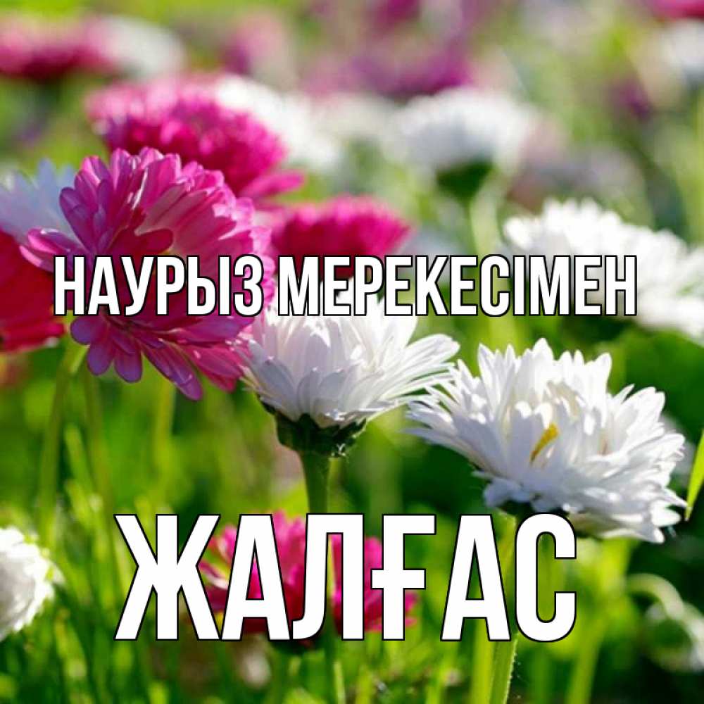 Күн сайын ашық хат с именем, Жалғас Наурыз мерекесімен праздник весны наурыз красота Онлайн тегін жүктеп алу тілектері бар керемет карта 