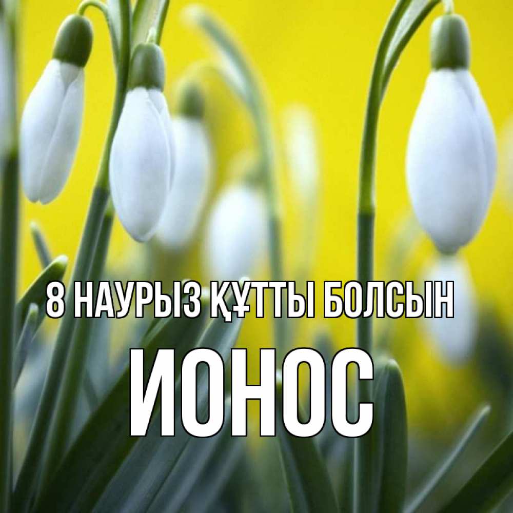 Күн сайын ашық хат с именем, Ионос 8 наурыз құтты болсын весенние цветы Онлайн тегін жүктеп алу тілектері бар керемет карта 