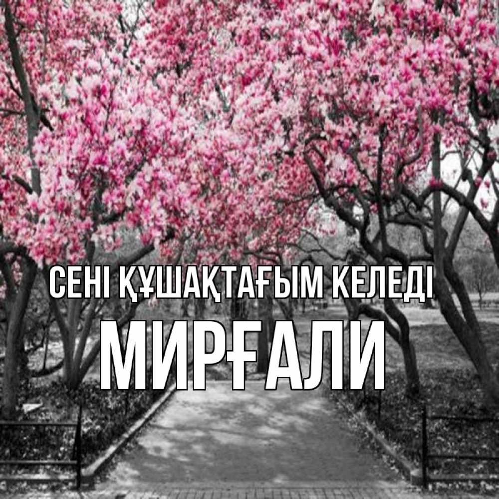 Күн сайын ашық хат с именем, МИРҒАЛИ сені құшақтағым келеді обработанное фото Онлайн тегін жүктеп алу тілектері бар керемет карта 