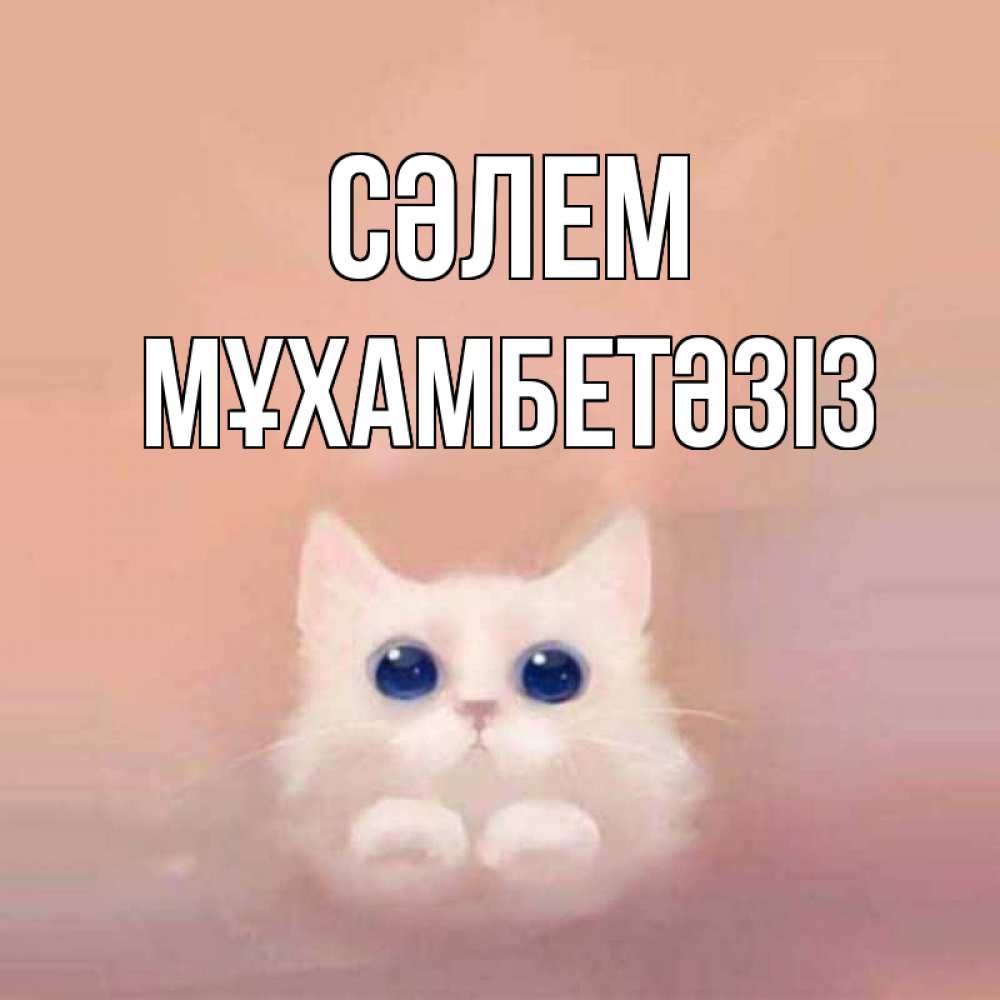 Күн сайын ашық хат с именем, МҰХАМБЕТӘЗІЗ Сәлем котик белый в полете Онлайн тегін жүктеп алу тілектері бар керемет карта 